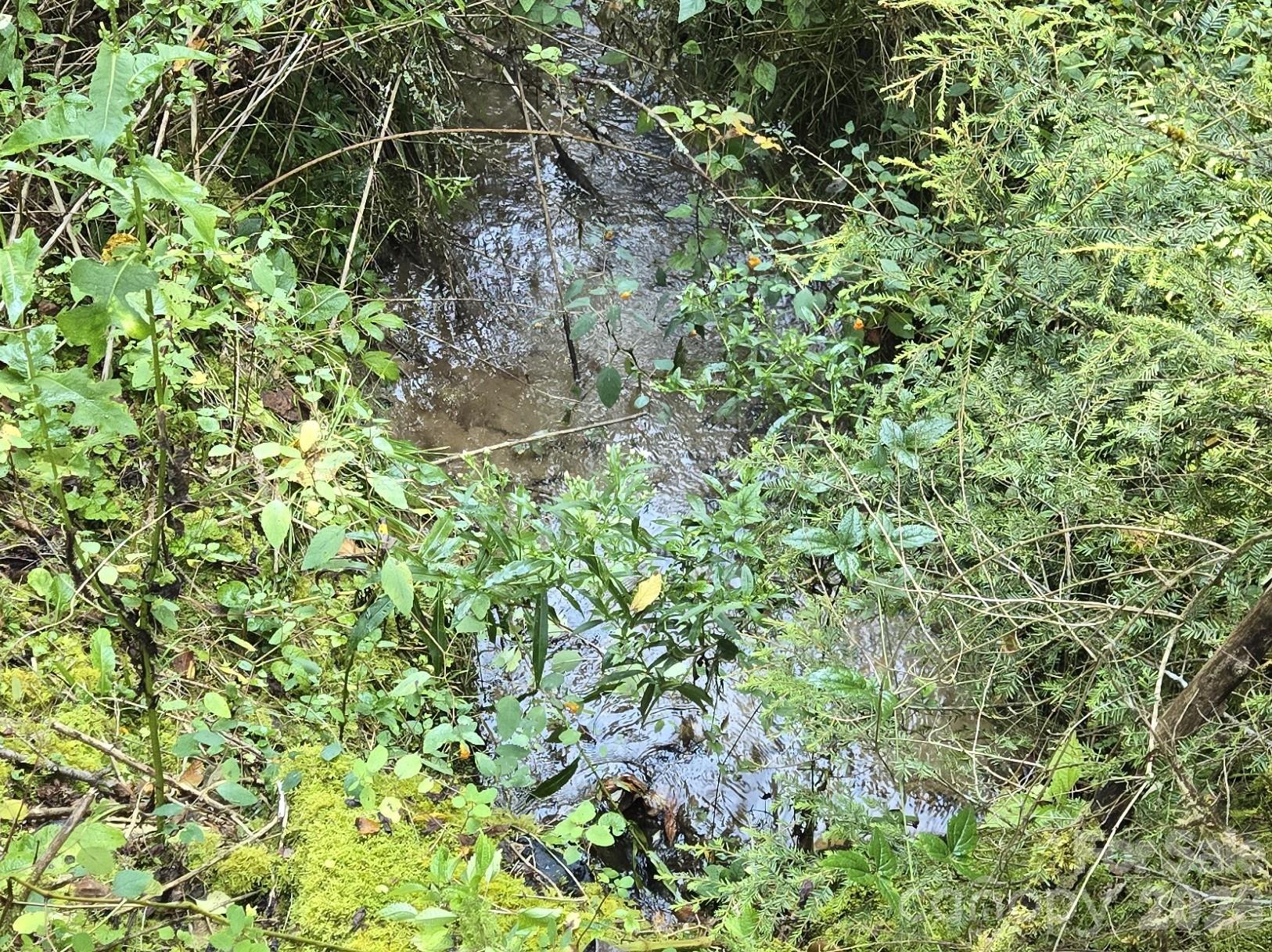 Indian Camp Mountain - Land