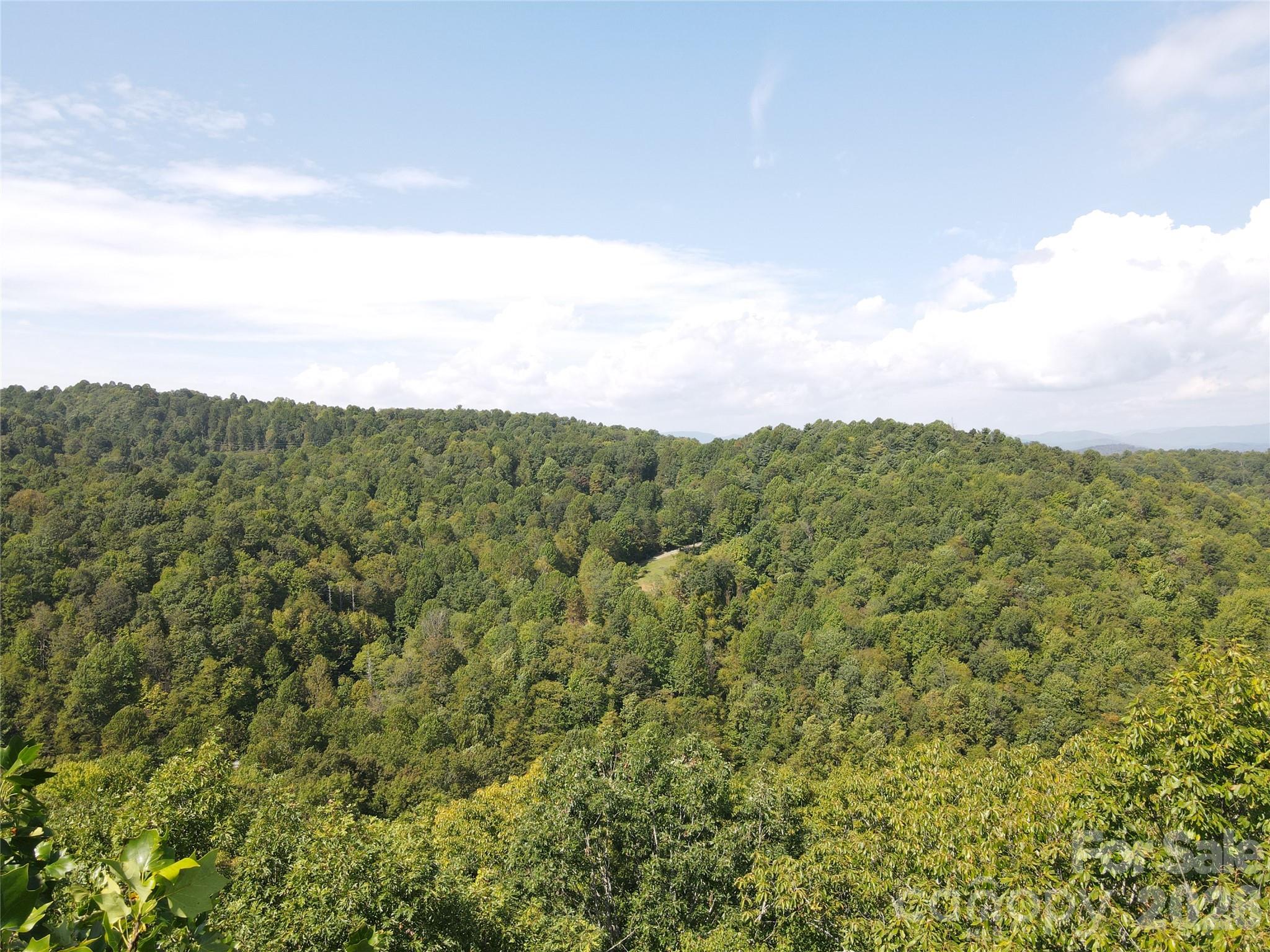 Indian Camp Mountain - Land