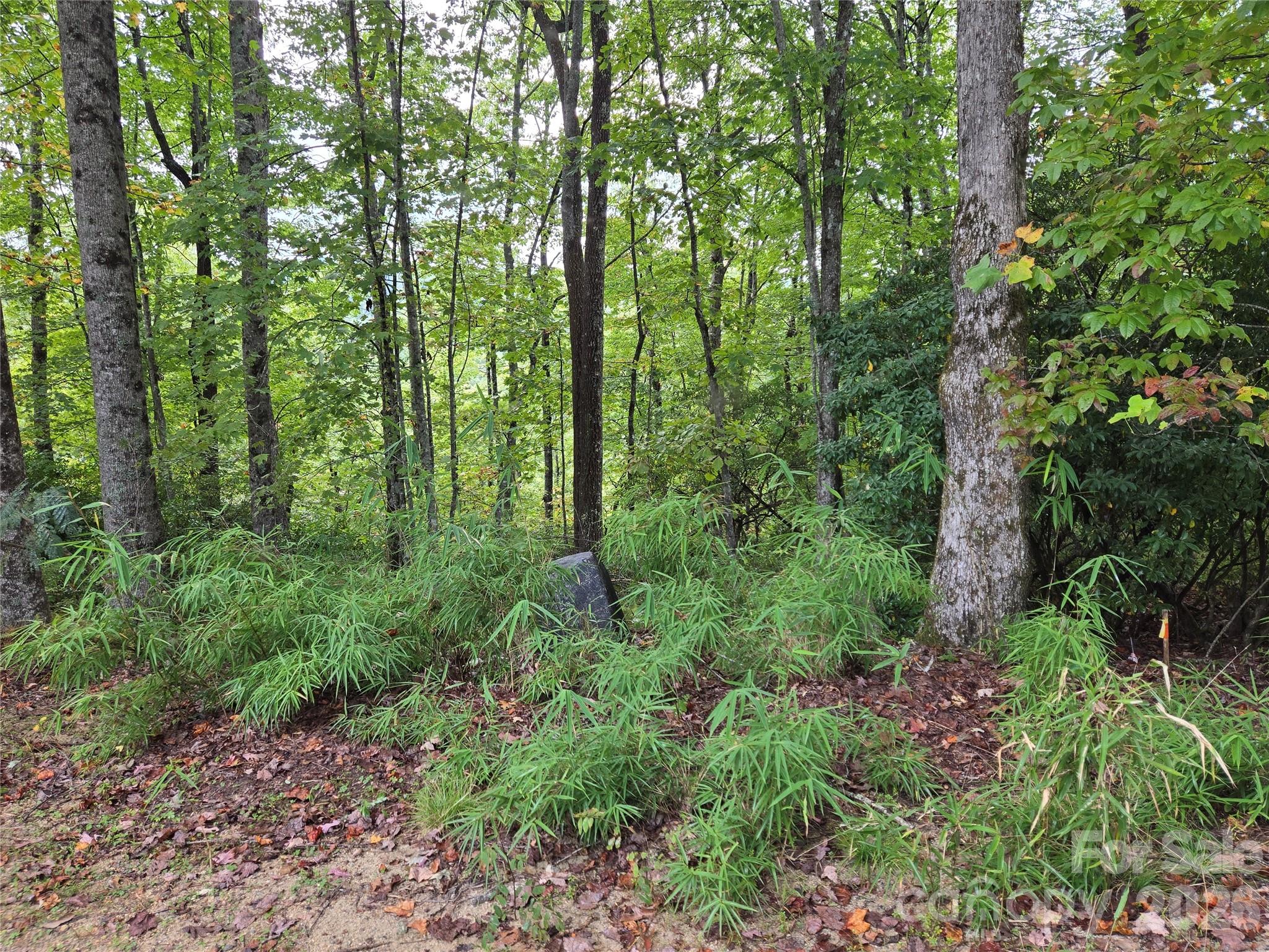 Indian Camp Mountain - Land