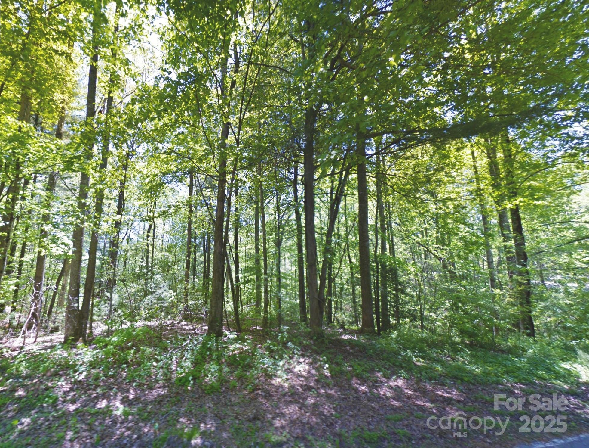 17 Maple Leaf Drive