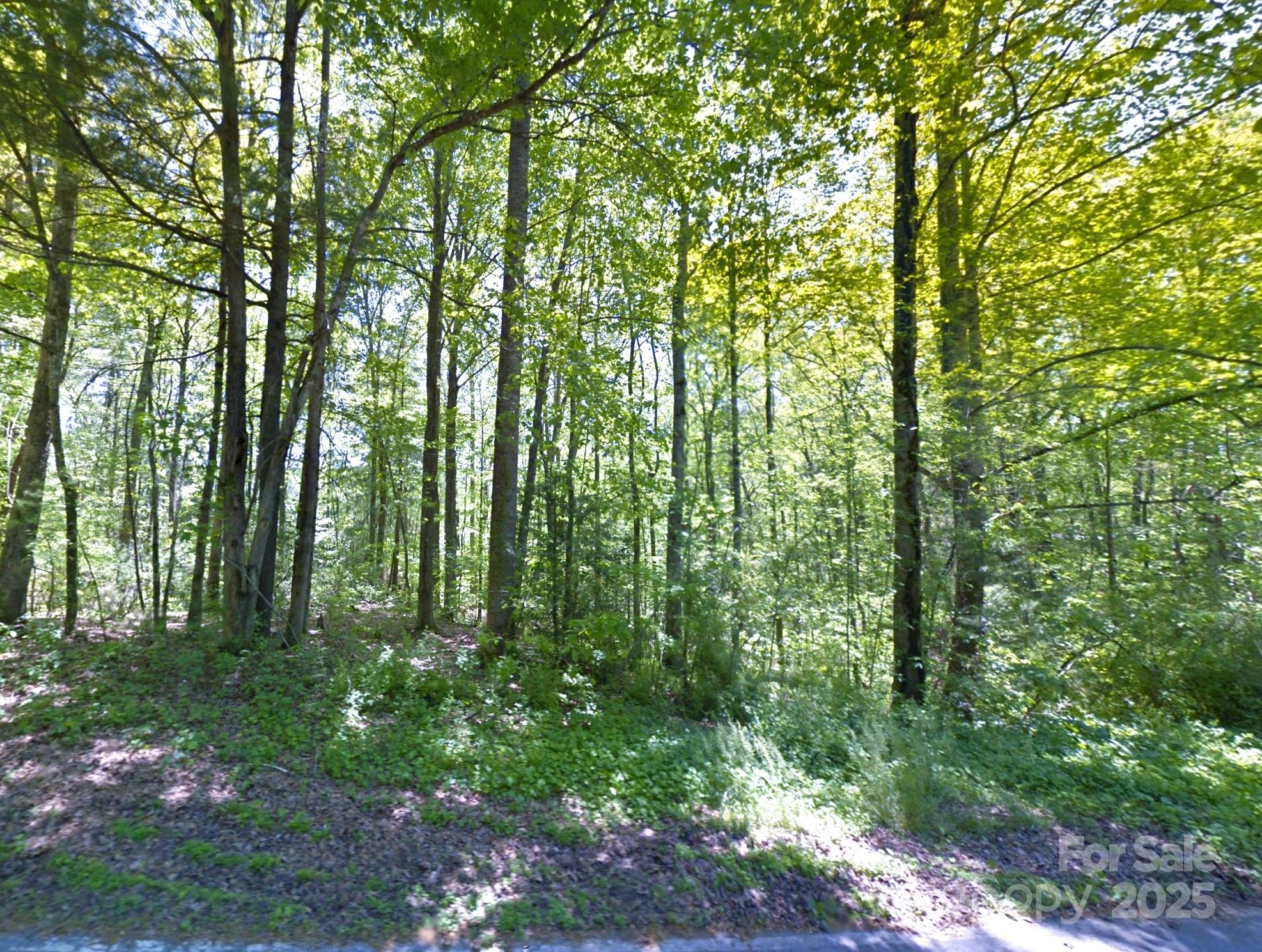 17 Maple Leaf Drive