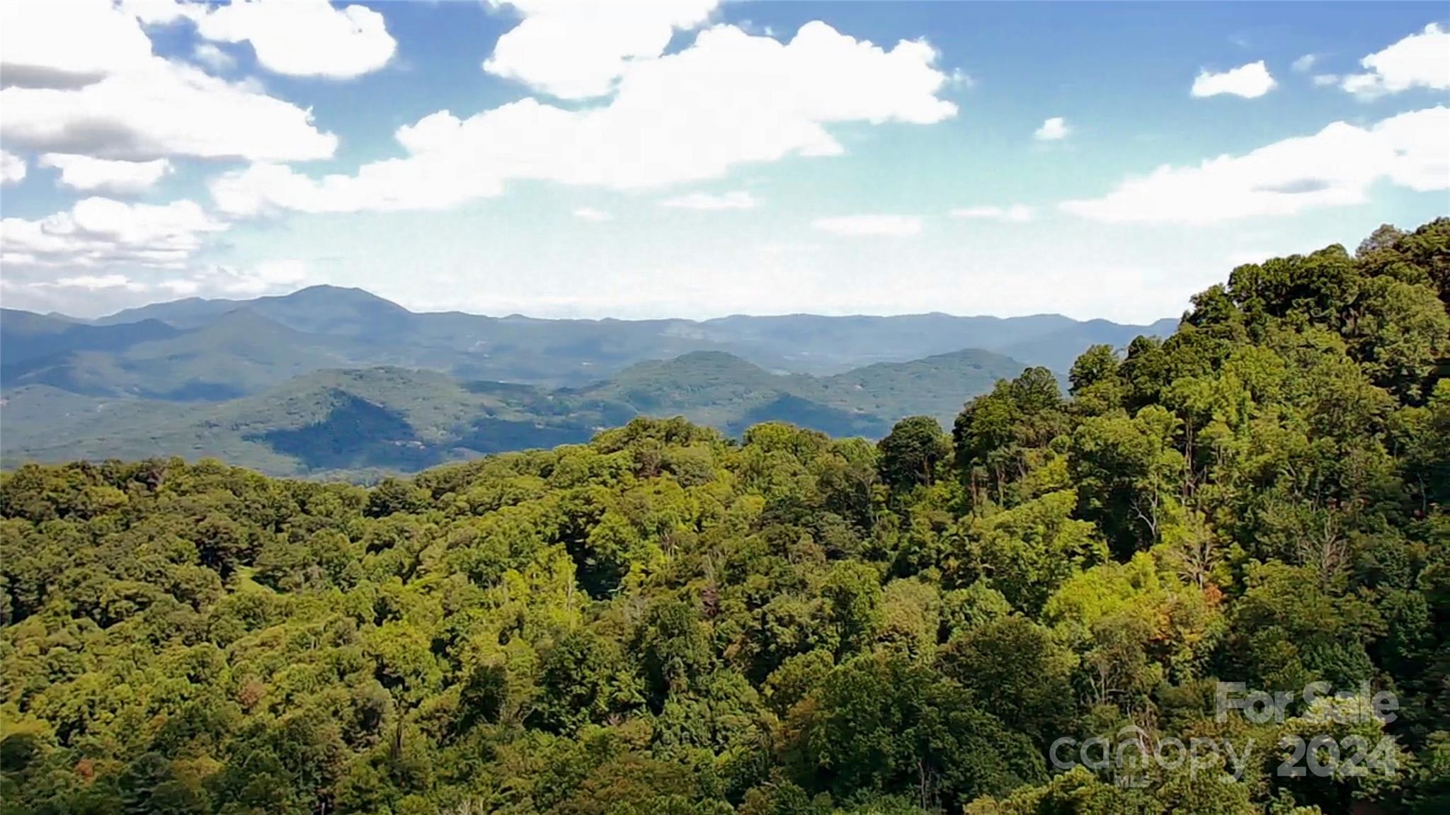 Lot 513 Curry Comb Trail