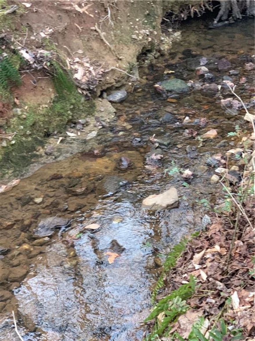 Thinking of building your sweet home in a secluded area? Check out this 0.92 acres residential lot with a nice creek in a very quiet neighborhood. Only a few minutes from downtown Taylorsville and convenient to NC Highway 64-90, I-40 and Hwy 16. Make your dream come true! Don't miss out on this rare opportunity!