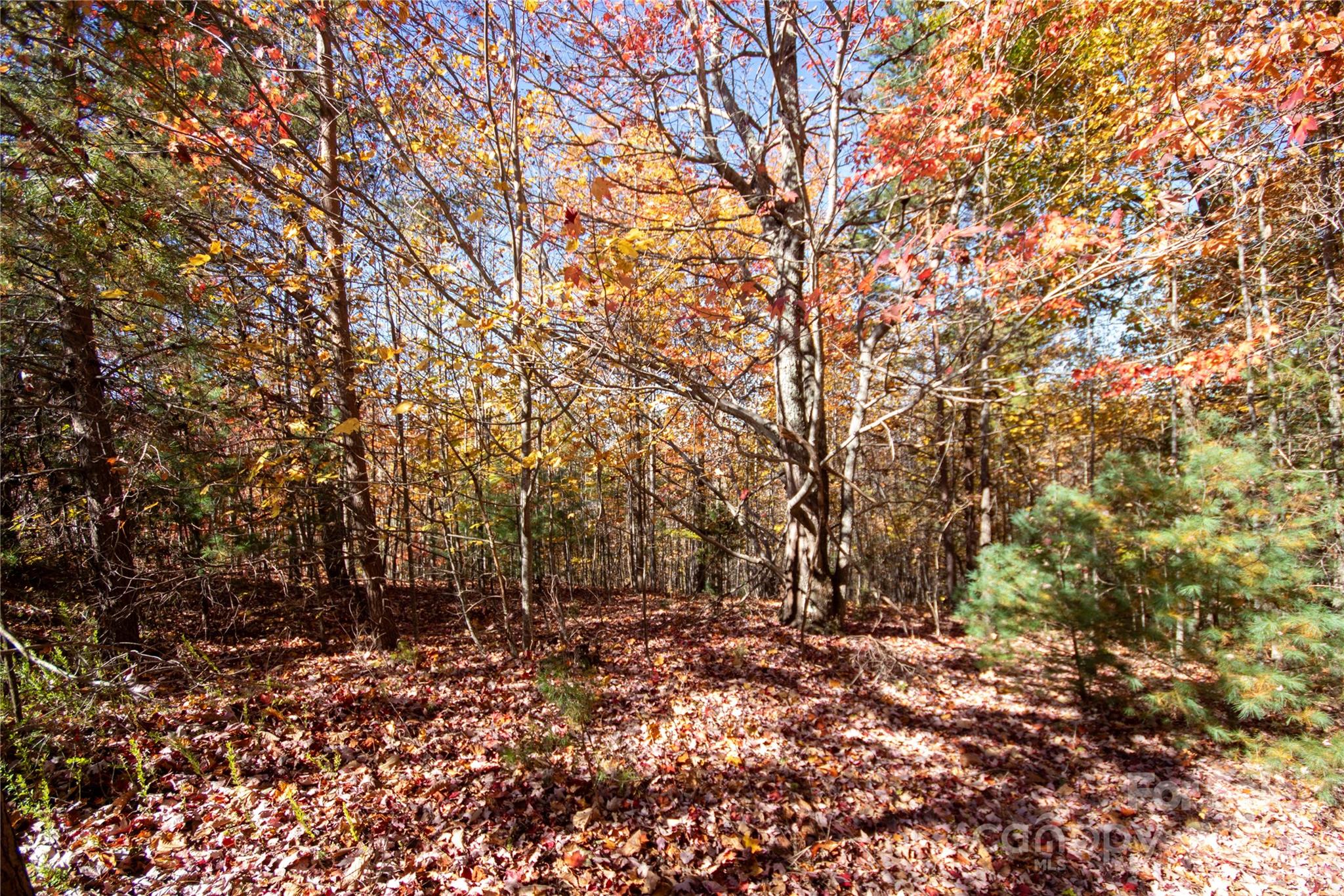 Eagle Heights - Land