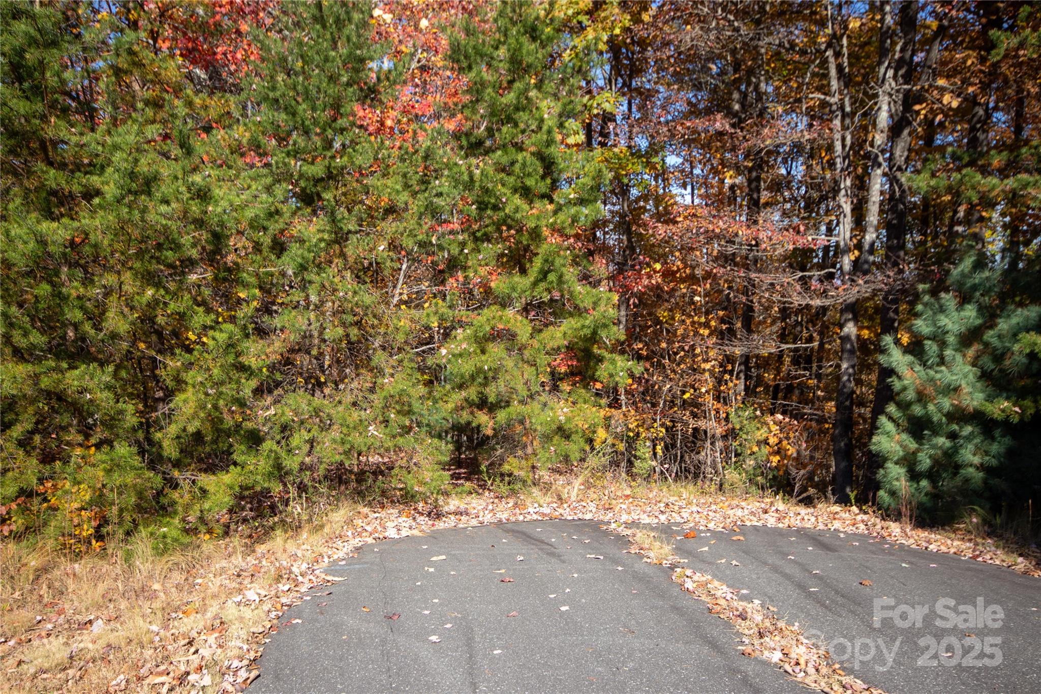 Lot# 4 Peregrine Terrace 4