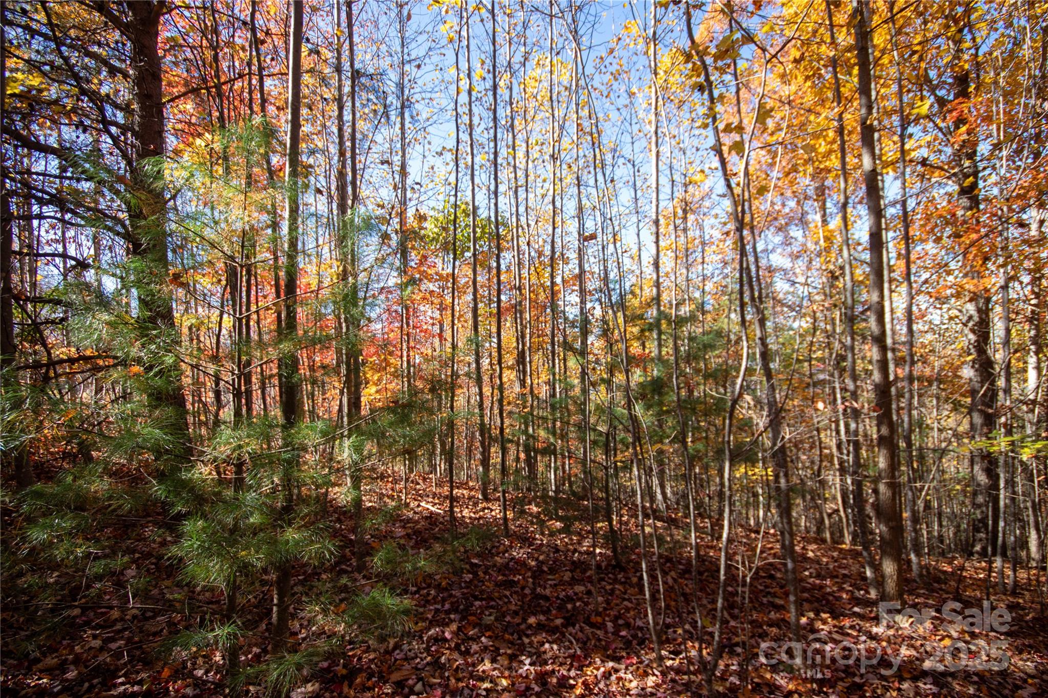 Eagle Heights - Land