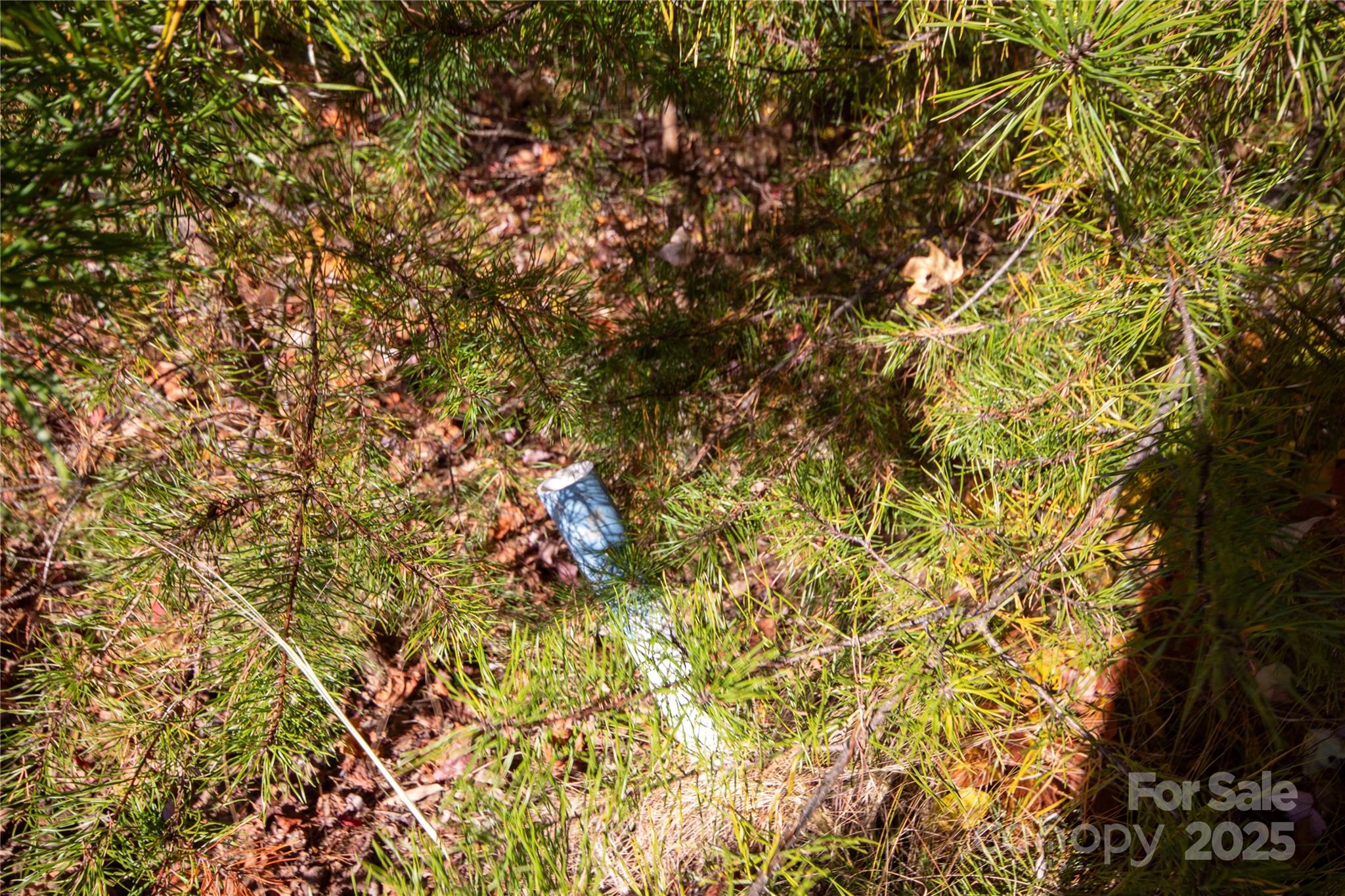 Lot# 4 Peregrine Terrace 4