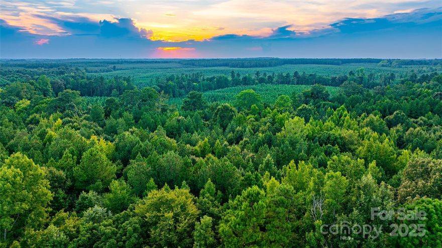 Welcome to Daystar Farms, a new subdivision offering 17 unique tracts ranging from 11 to 77 acres. Whether you’re seeking a serene residential lot, a mini-farm, hunting preserve, or a recreational haven, Daystar Farms has the perfect property for you. Daystar Farms is more than just a place to live; it’s a lifestyle. Imagine waking up to the sounds of nature, exploring your own private land, and having the space to pursue your passions. Build your vision-your way. Lot 10 is heavily wooded with a mix of hardwoods and pines allowing you to choose your homesite with plenty of elbow room and privacy. A creek serves as the rear border line.  his lot provides excellent opportunities for hunting and outdoor recreation.  Daystar Farms is conveniently located with easy access to nearby amenities without sacrificing peaceful rural living. Soil tests have been performed with favorable results for conventional septic systems.