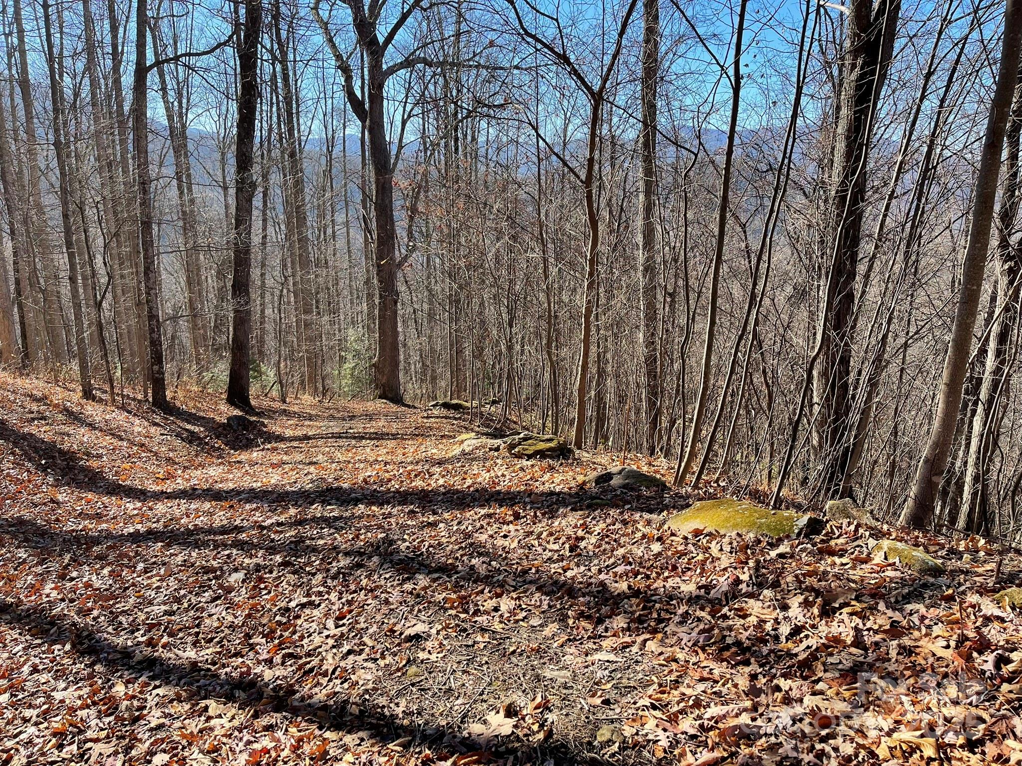 00 Weatherwatch Lane 48