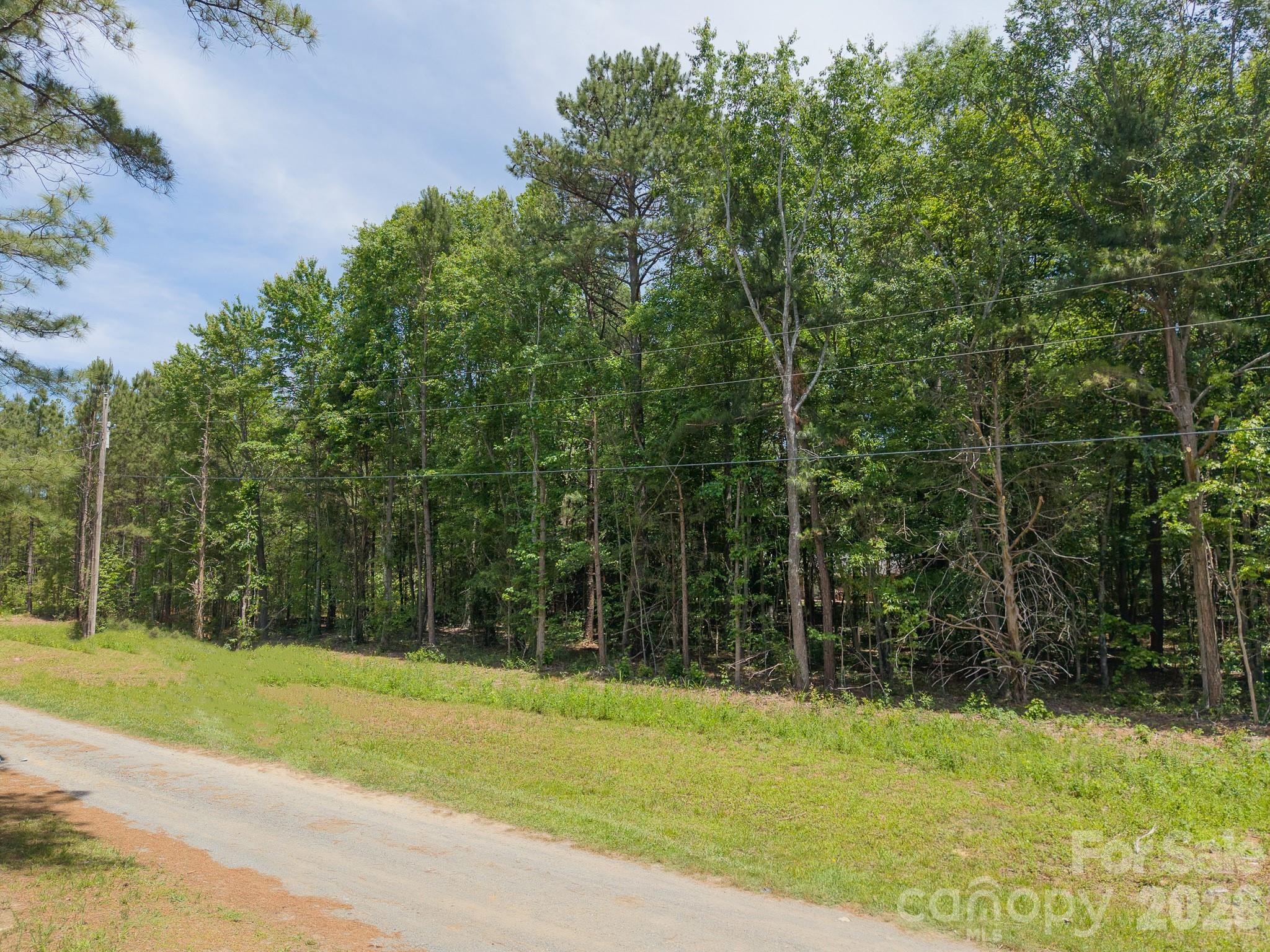 000 Rose Drive 9