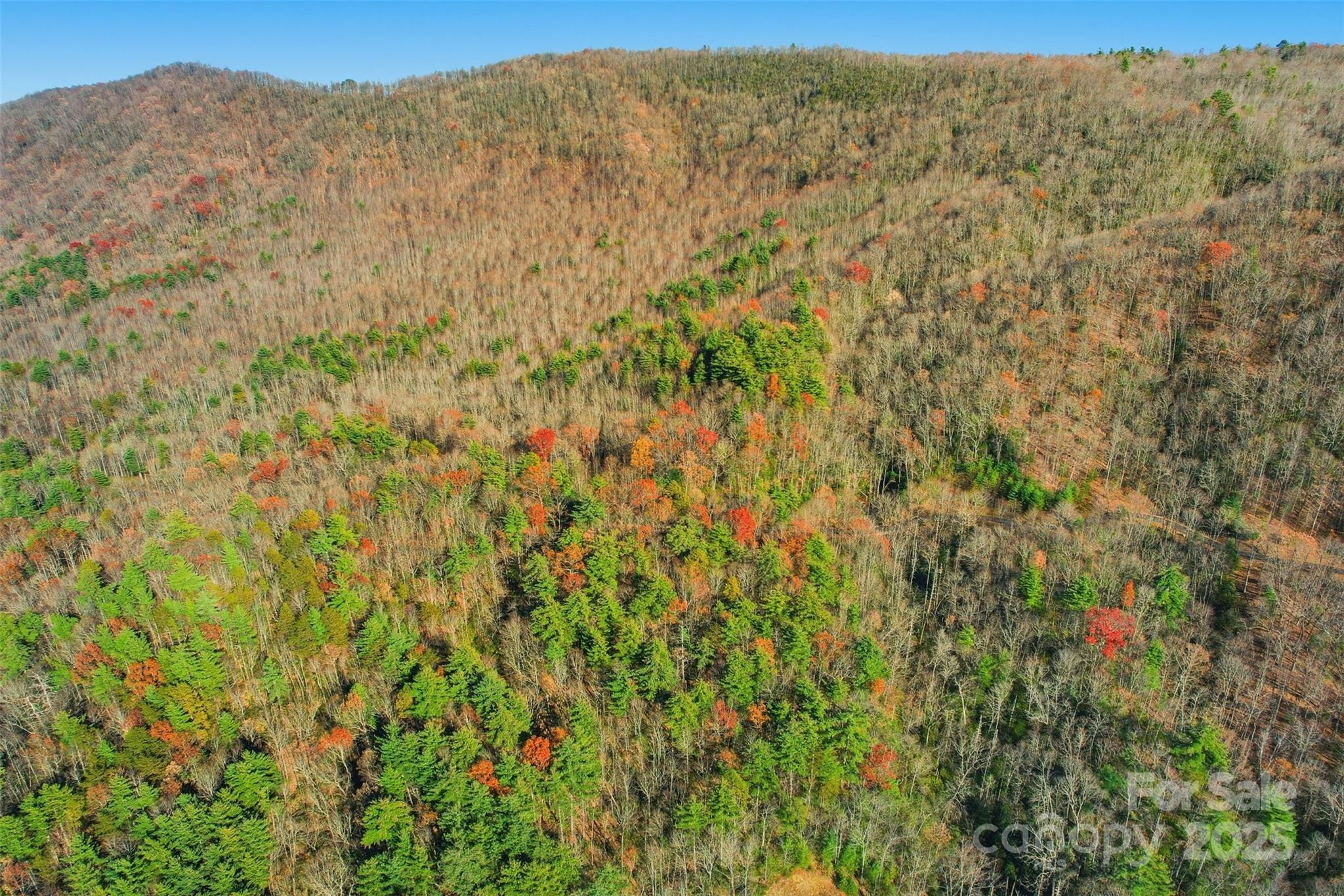 Round Mountain Falls - Land