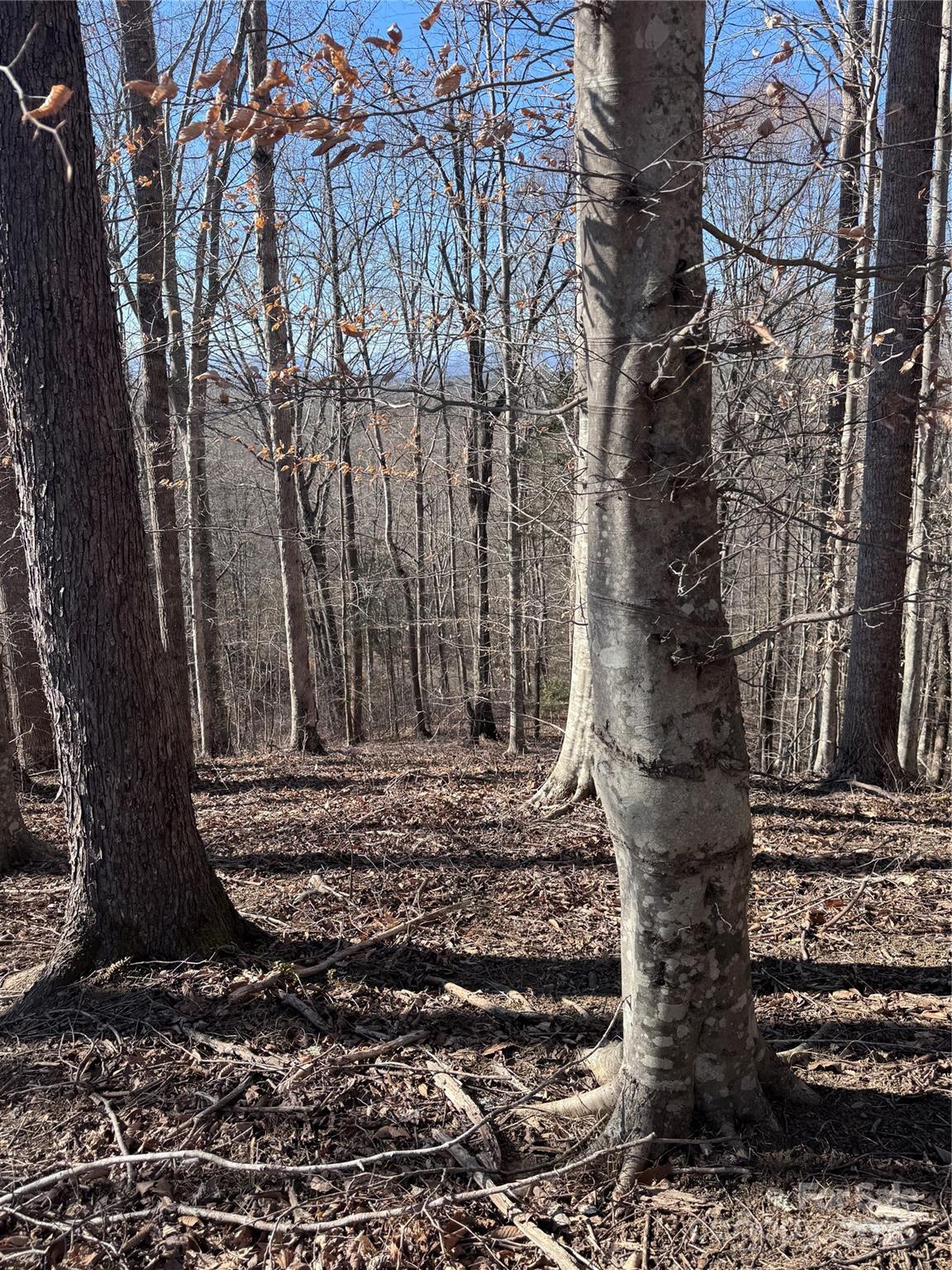 0 Cross Creek Drive 136A