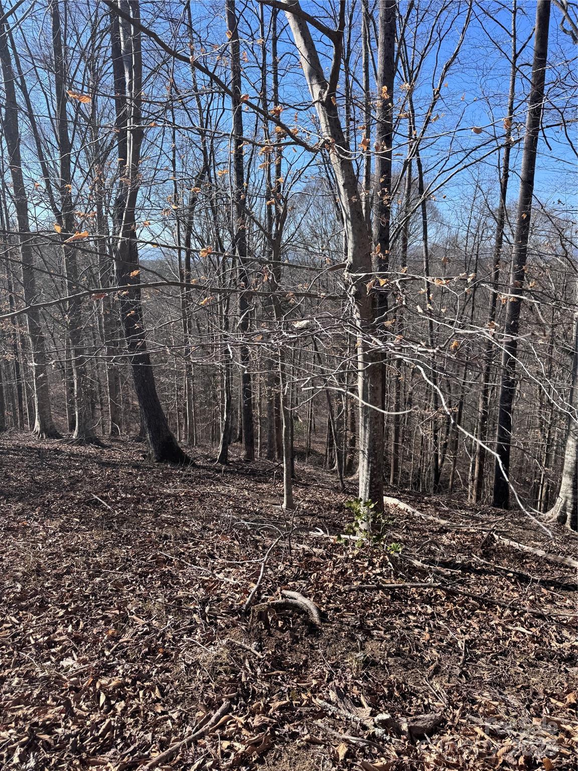 0 Cross Creek Drive 136A