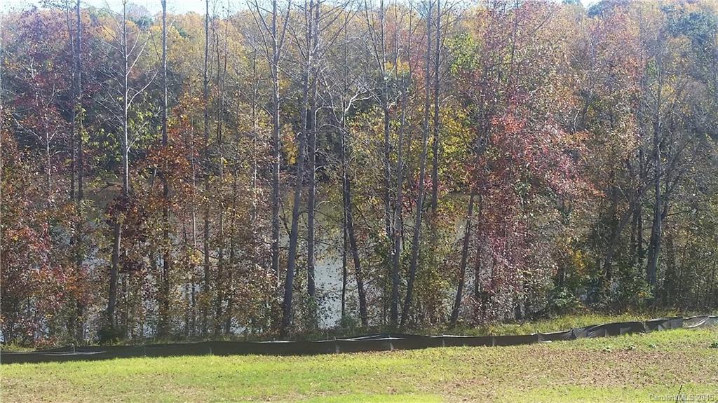 The Vineyards on Lake Wylie - Residential