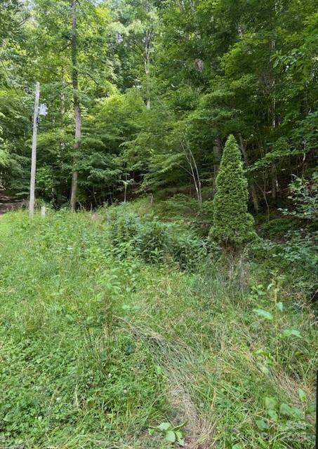 0 Cane Mountain Lane