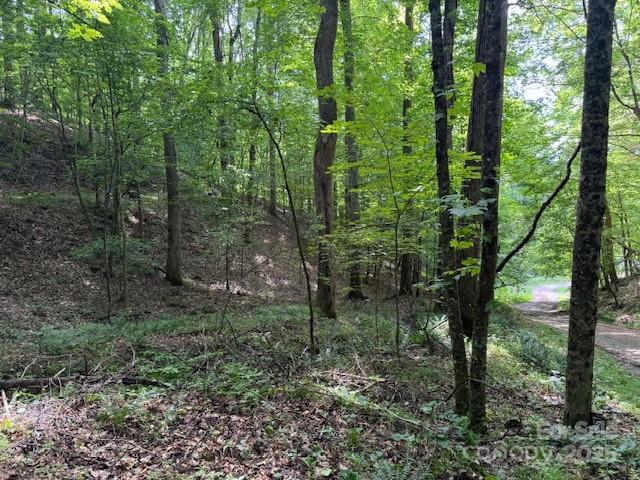 0 Cane Mountain Lane