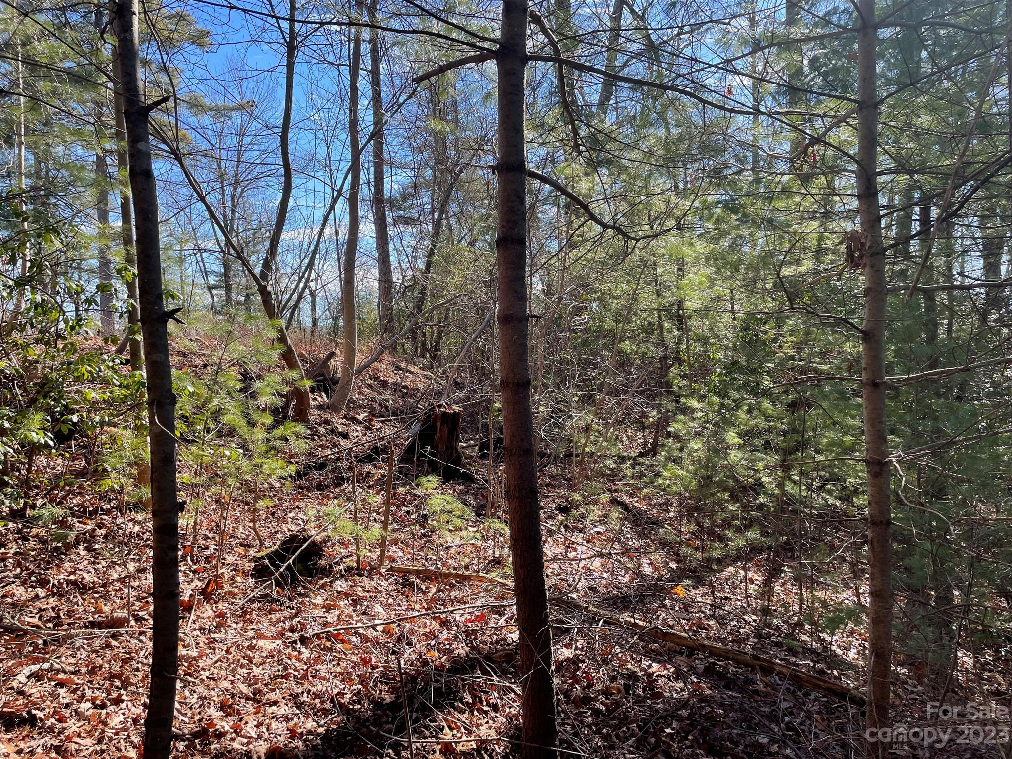 00 Willow Run Lane 12