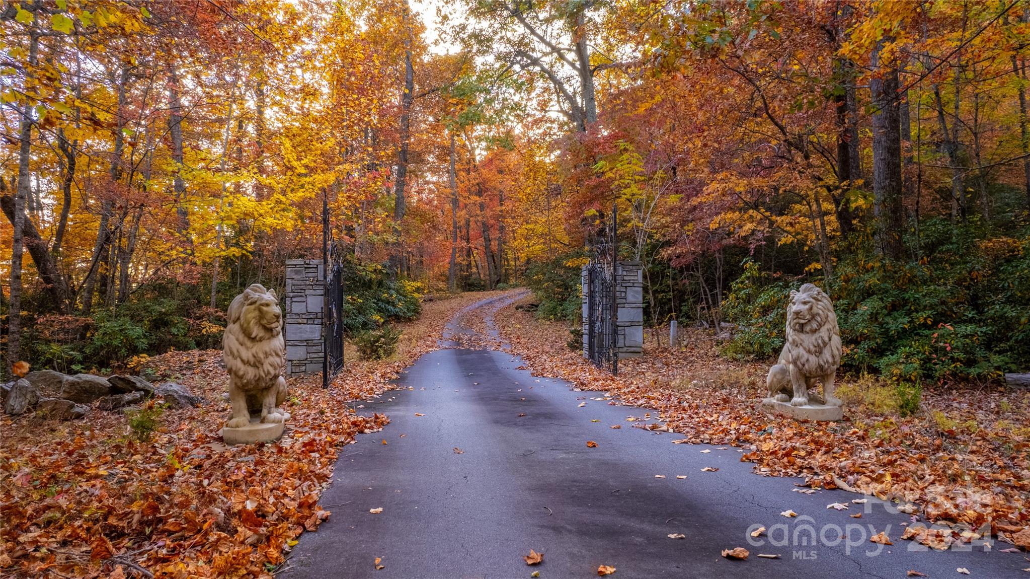 Bird Creek Estates - Residential