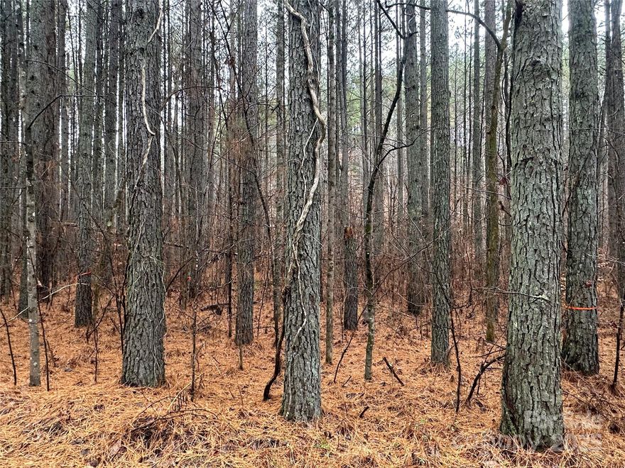 Discover 22.49 acres of pure privacy and natural beauty, featuring mature woods, rolling terrain and the peaceful flow of Frog Creek running right through the property. Whether you're dreaming of a secluded private estate, a hunting/recreational getaway, or the ideal spot for your new home, this land has much to offer. Abundant wildlife. Excellent potential for hiking, hunting, ATV trails, camping and much more. Orange ribbons on interior of property were placed by owner for their intended driveway. There is a also a footbridge across the creek.