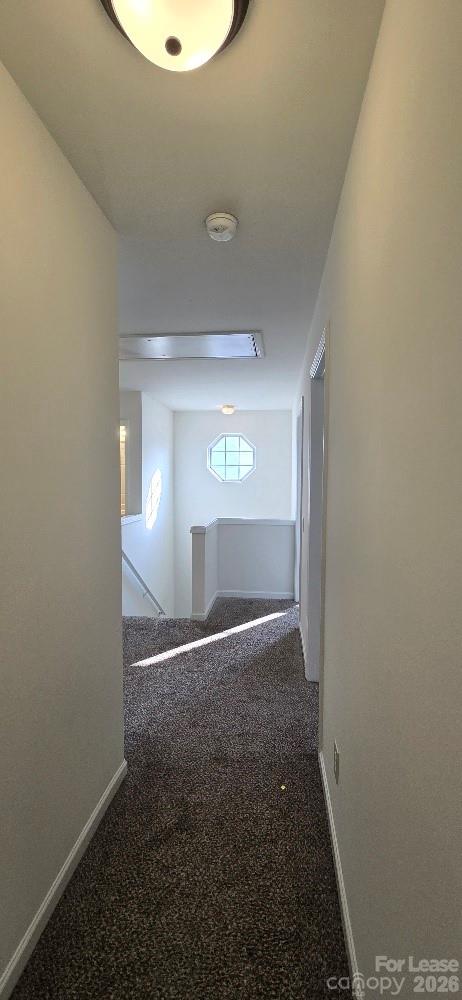 Peachtree Hills - Residential Lease