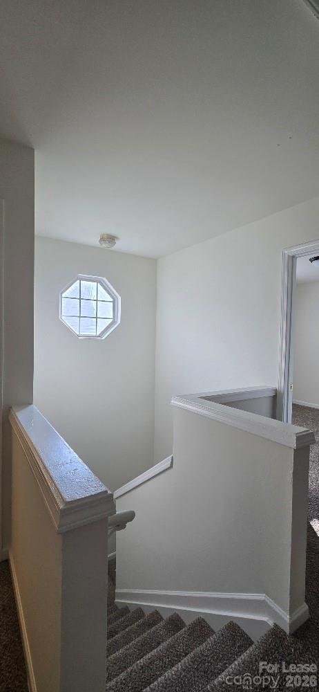 Peachtree Hills - Residential Lease