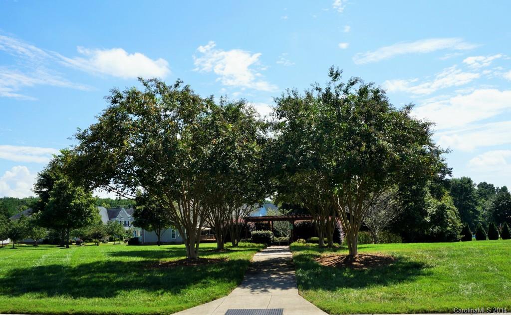 Latta Springs - Residential