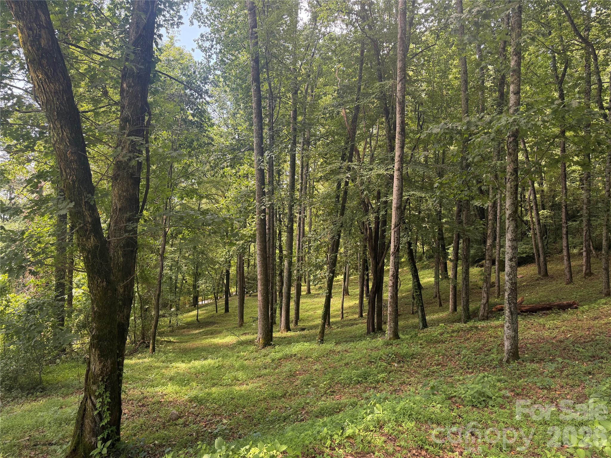 89 Split Rock Trail Unit 56, Arden, NC, 28704