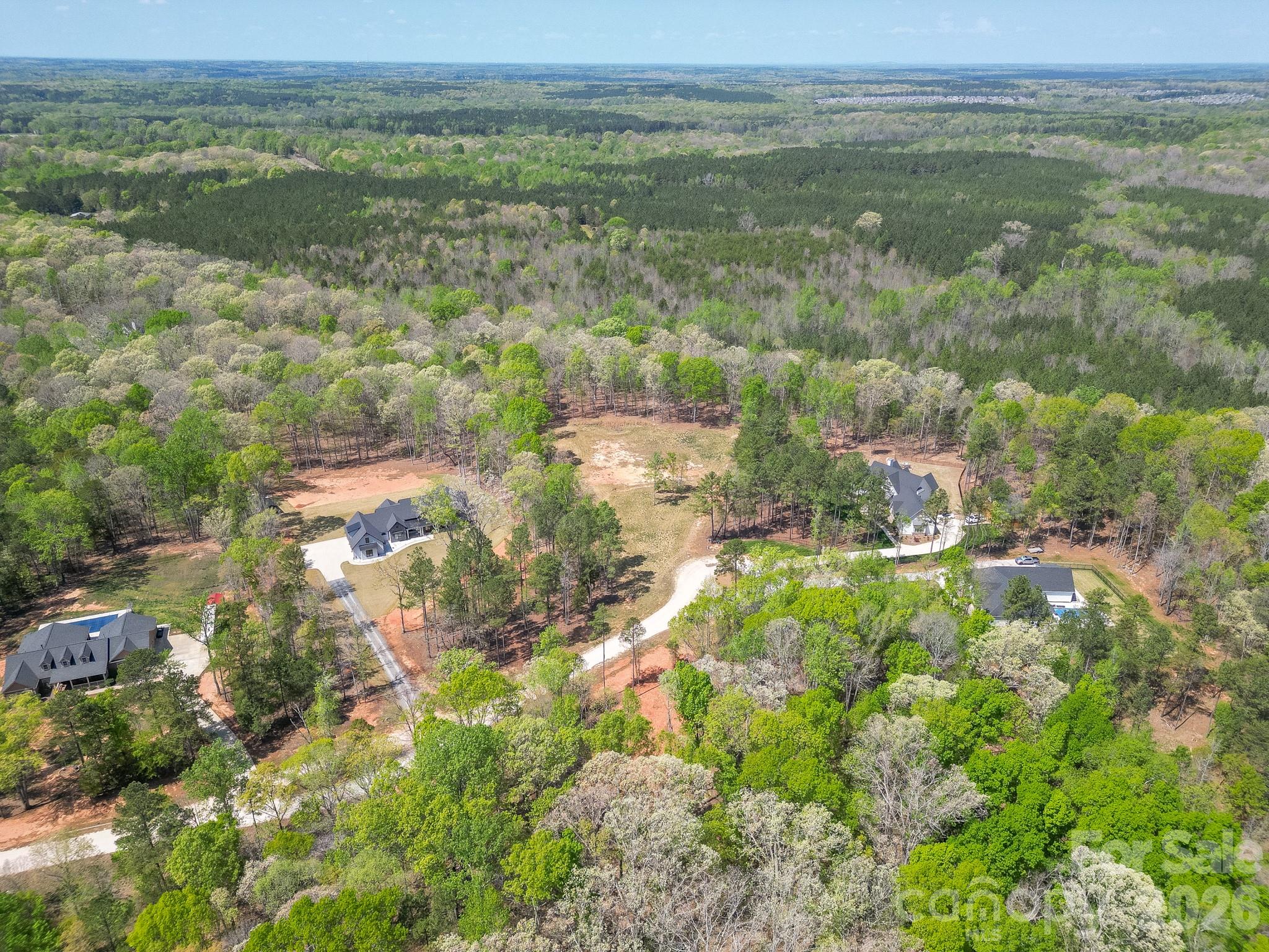 Virginia's Woods - Land