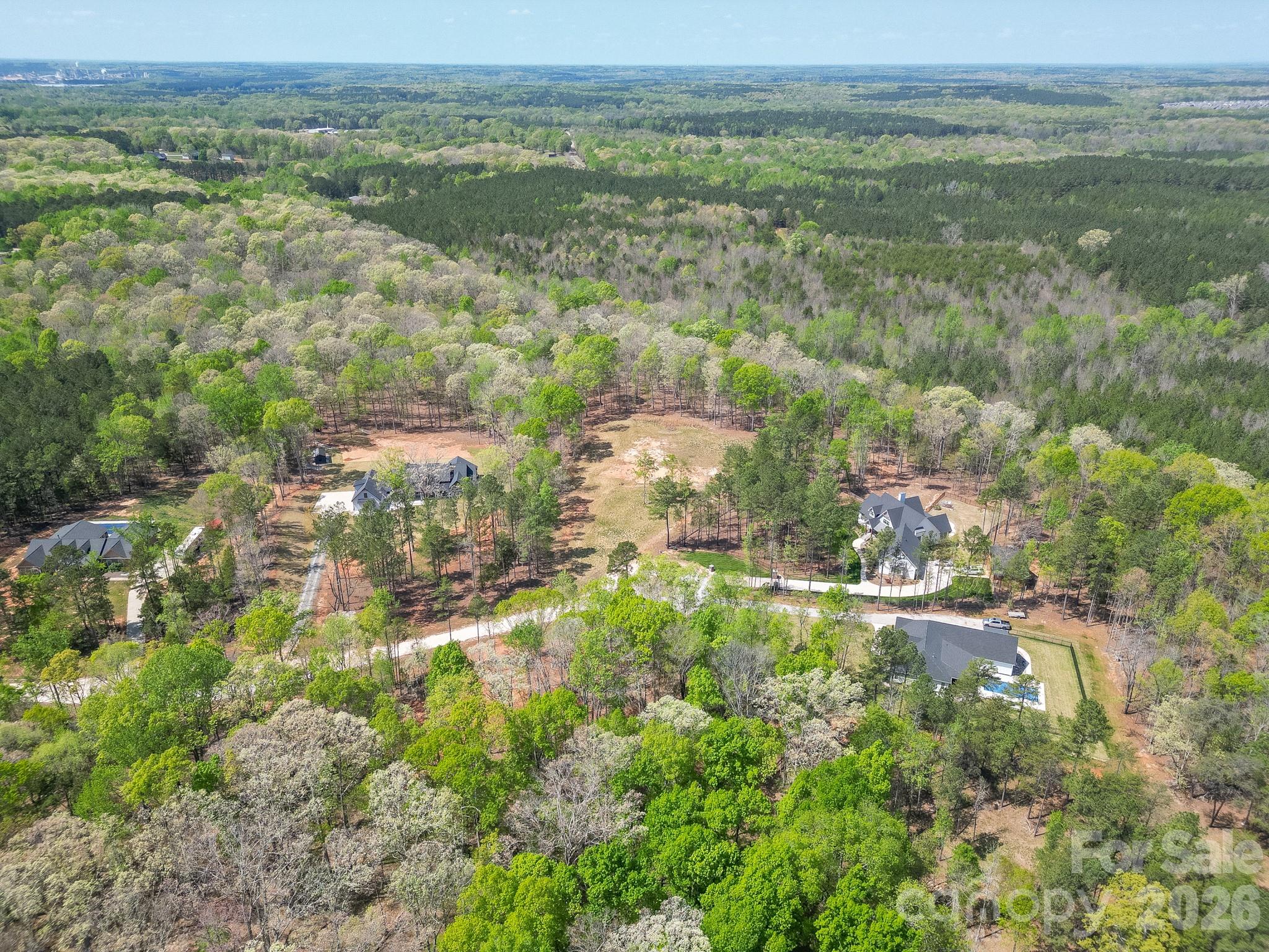 Virginia's Woods - Land
