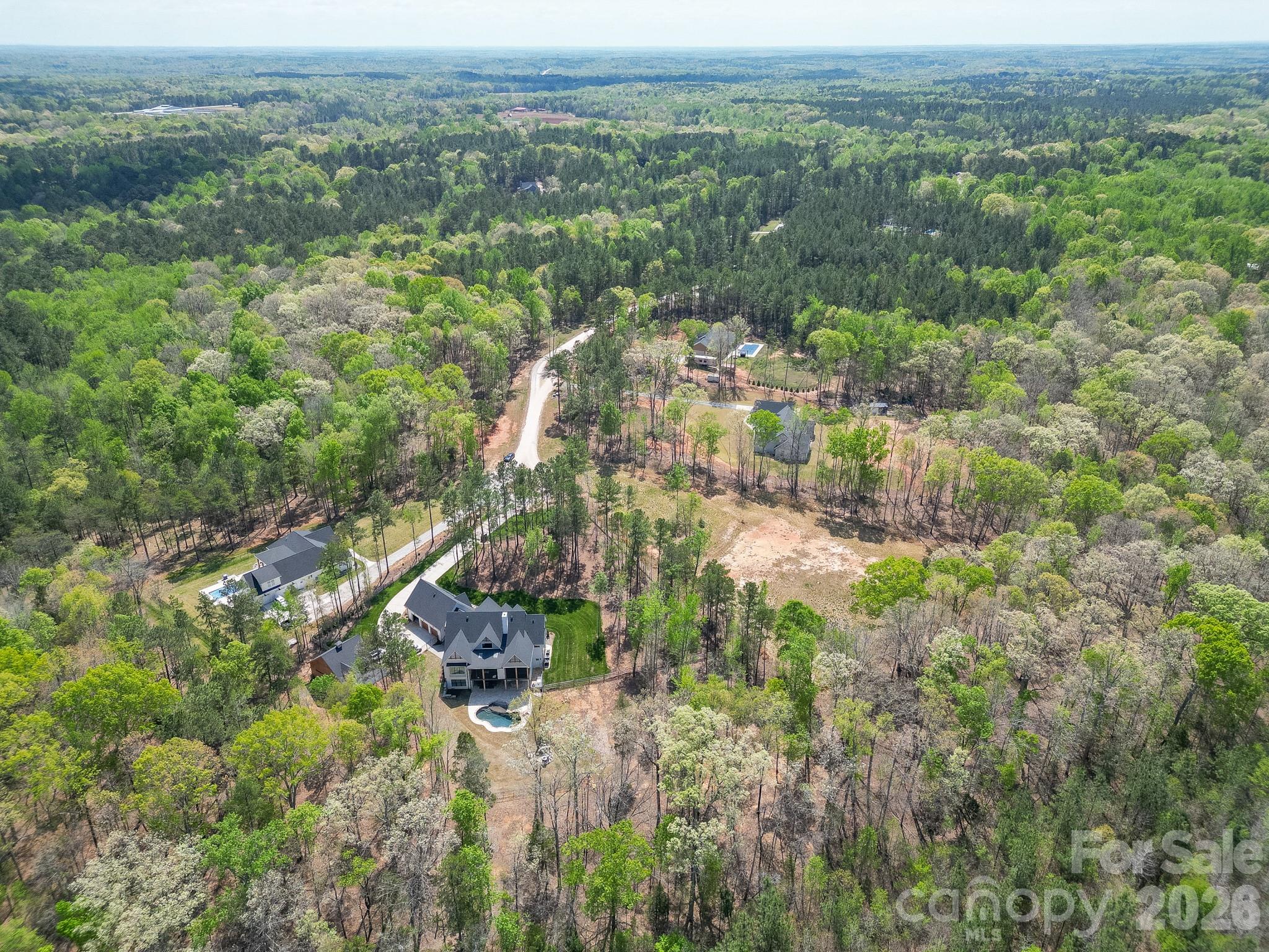 Virginia's Woods - Land
