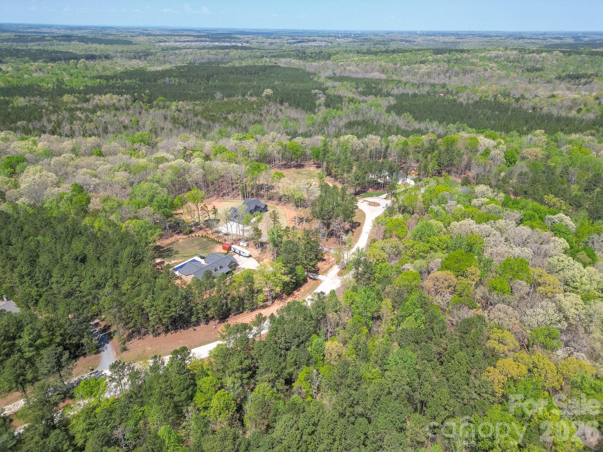 Virginia's Woods - Land