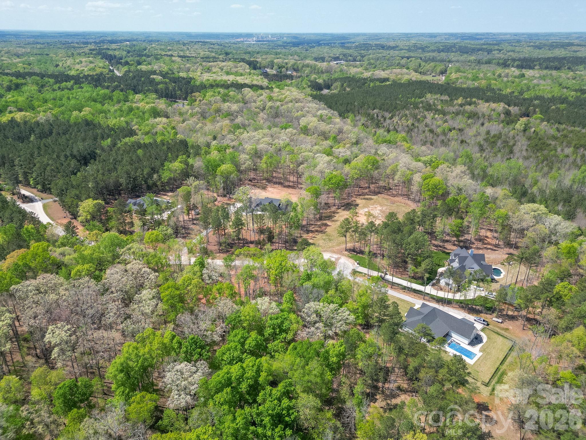 Virginia's Woods - Land