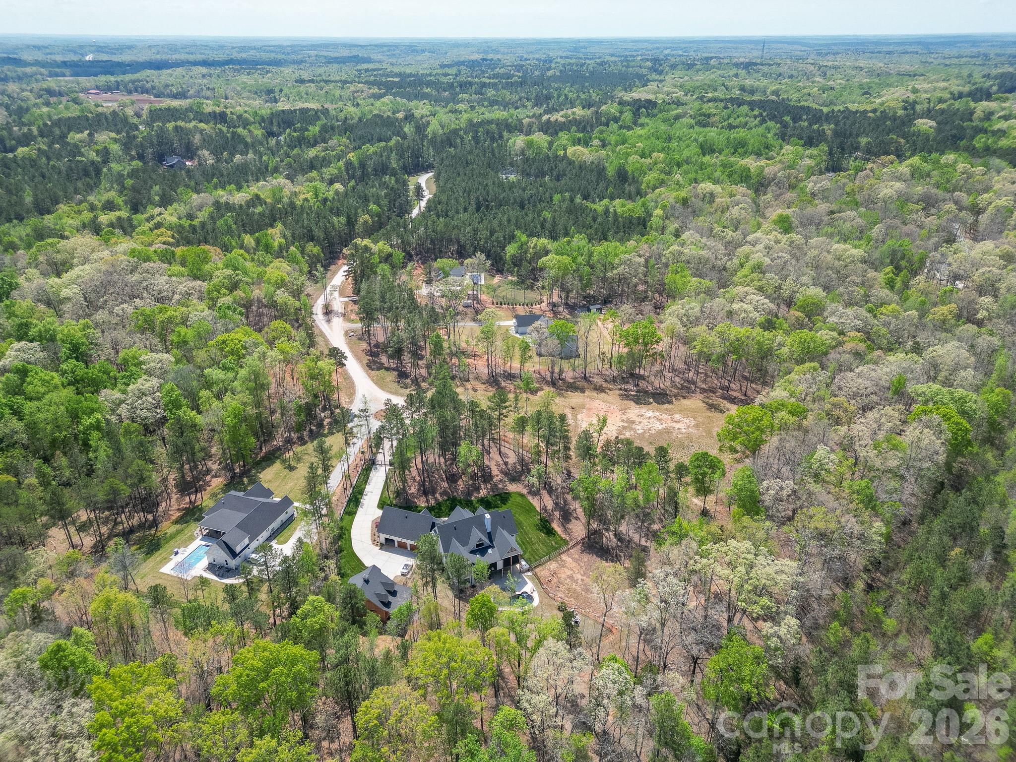 Virginia's Woods - Land