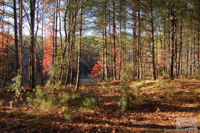 Old Wildlife Club - Commercial Sale