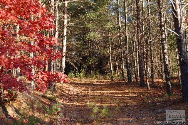 Old Wildlife Club - Commercial Sale