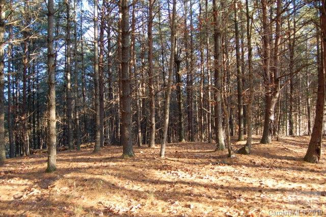 Old Wildlife Club - Commercial Sale