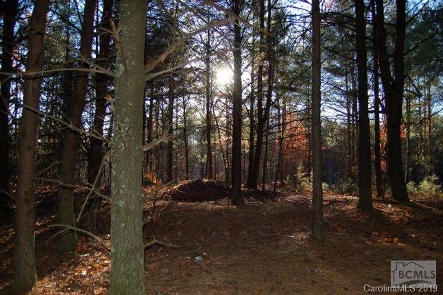 Ever get one of those postcards in the mail where you're promised beautiful lake land for next-to-nothing prices?  Doesn't it seem too good to be true?  Well, that's because it usually is.  This lot, on the other hand, is postcard worthy and the real deal.  Originally bought for $175,000, this flat acreage is part of a very popular neighborhood and even allows for multiple dwellings to be built.  Walk through common-open-space to the waterfront where you can jump on a kayak.  Or, walk to your motor yacht, safely secured in your own boat slip with shore power and a beautiful view of its own.  Camp Lake James membership included!  Boat slip included!  Kayak and motor yacht not included.