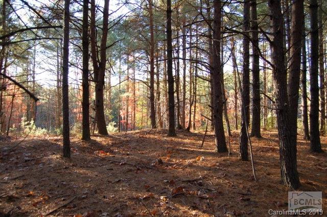 Old Wildlife Club - Commercial Sale