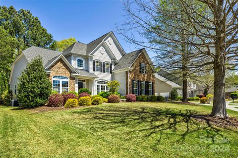 Photo of 16540 Bryant Meadows Drive, Charlotte, NC 28278 (MLS # 4127808)