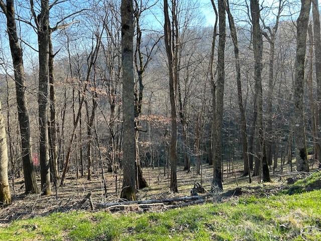 Lot 20 Trillium Lane