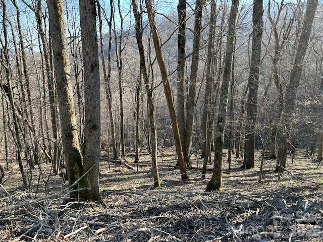 Wolf Laurel Estates - Land