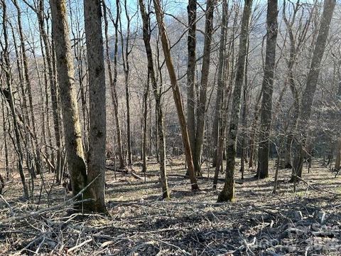 Lot 20 Trillium Lane Mars Hill NC 28754