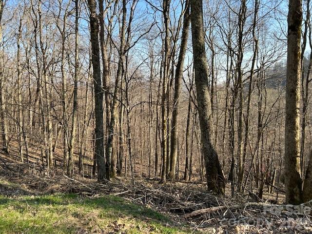 Lot 20 Trillium Lane