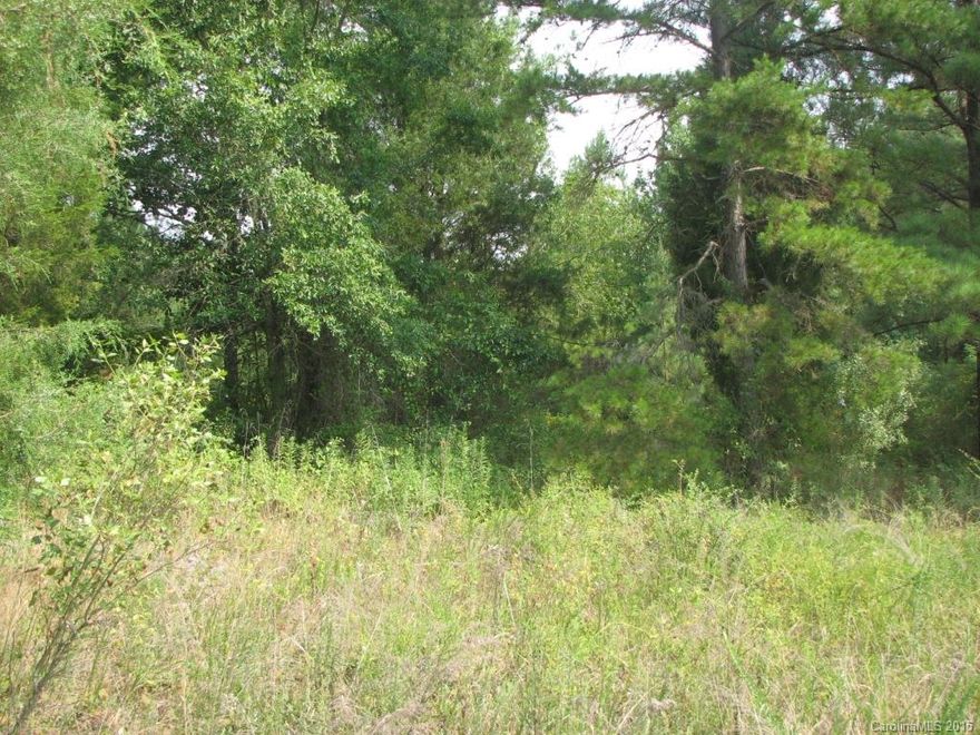 General Commercially Zoned Vacant Lot.  Previously Cornwell Country Store & Gas Station.  Level Corner Lot has old well in place.  Located at the corner of US Hwy 21, Killian Rd and Landsford Rd.  About halfway between Rock Hill SC and Fort Lawn SC.  Ideal location for convenience store or bait/tackle shop on US Hwy.  Near Landsford Canal State Park on the Catawba River.  Between Charlotte and Lake Wateree.