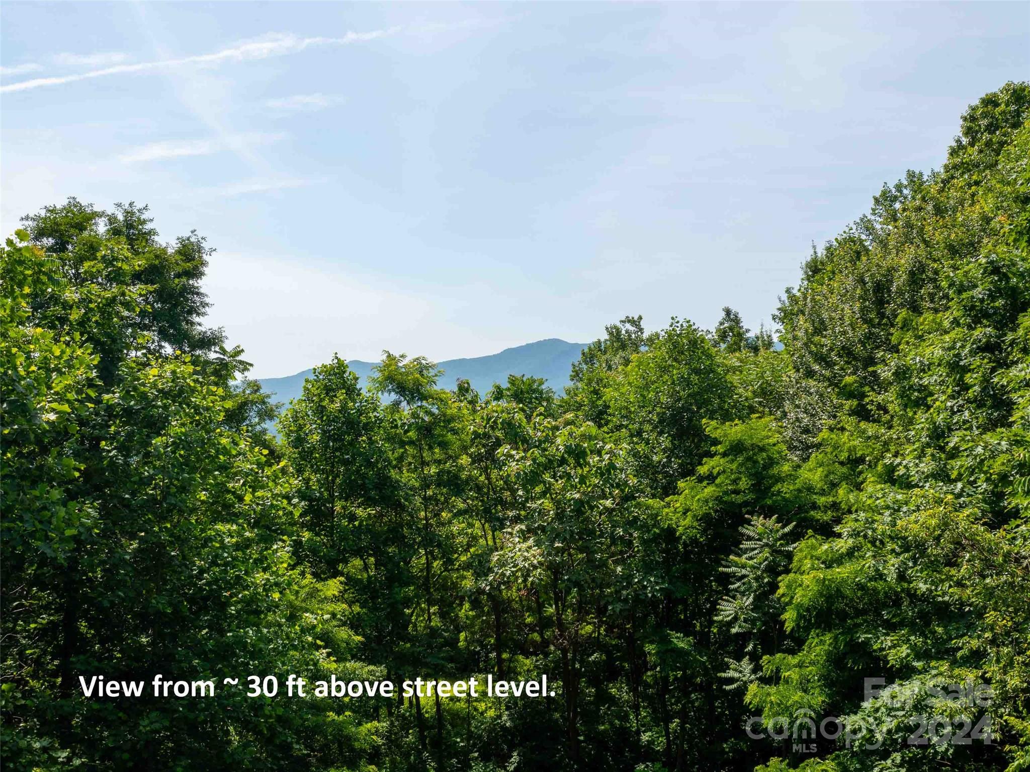 Brights Creek - Land