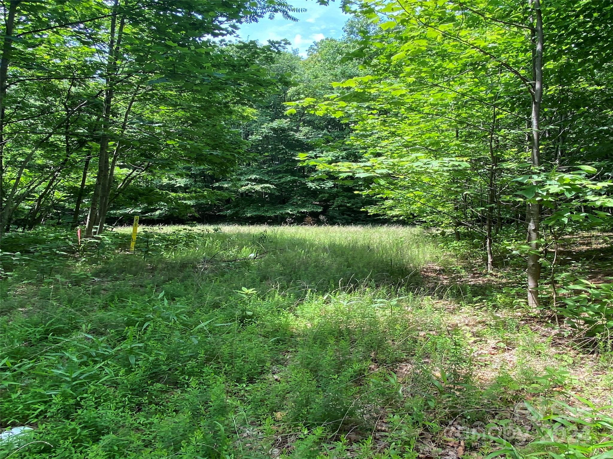 Brights Creek - Land