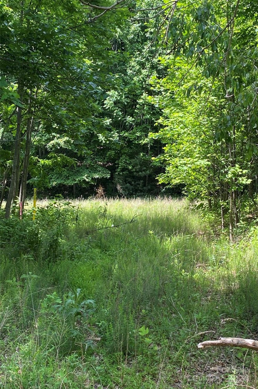 Beautiful large, private, cul de sac lot that borders a creek. Located in Bright's Creek. A beautiful development with paved roads, fiber optic, water, sewer, & natural gas. Community offers 24 hour staffed greeters cottage and many scenic walking trails including a waterfall trail. Brights Creek Club offers a 19 hole Tom Fazio championship golf course, tennis/pickleball, and mountain lodge with restaurant and bar. New Amenity area features an outdoor heated saline pool, two lane bowling alley, fitness center, casual dining, and many beautiful gathering spaces with a huge stone fireplace and full bar. Make an appointment to experience Bright's Creek today.