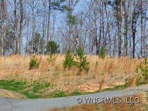 Stonecrest at Lake Lure - Land