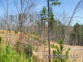 Stonecrest at Lake Lure - Land