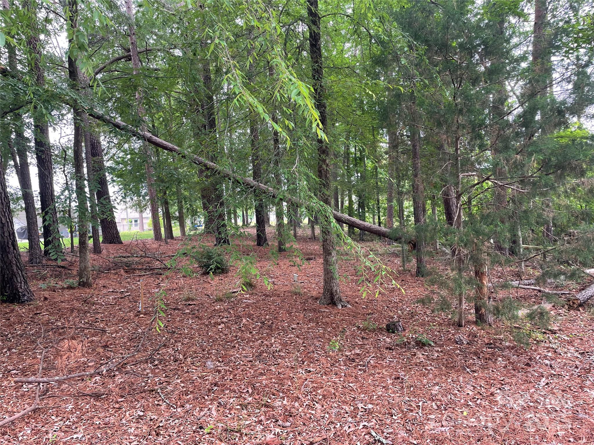 13409 Ethelyn Circle